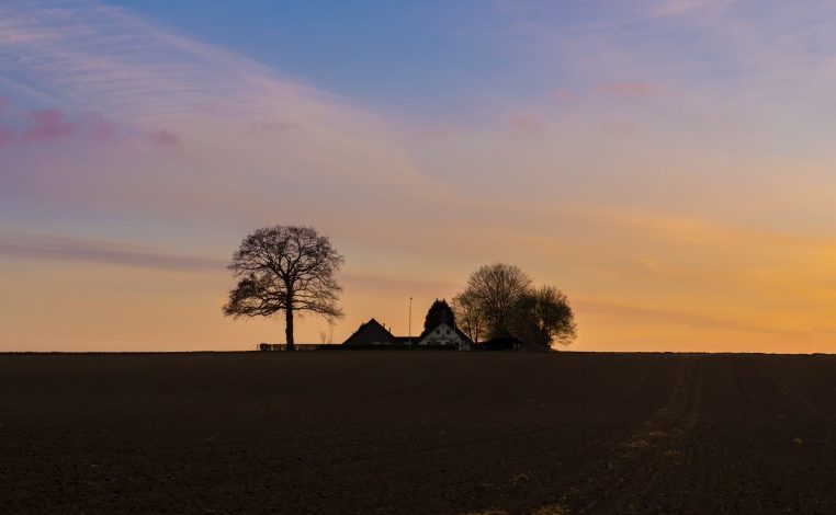 Pflichtteilsanspruch durchsetzen - aber wie?